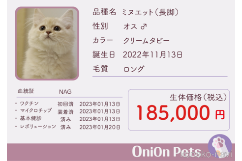 成約済の大阪府のミヌエット-48796の2枚目